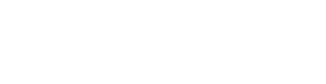 lady choice brand image